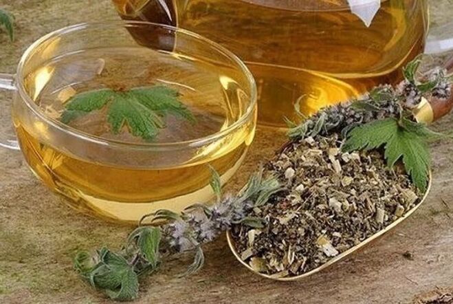 Омехтаи гиёҳҳо
